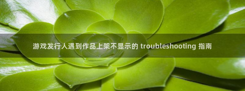 新城平台登录入口官网首页查询
