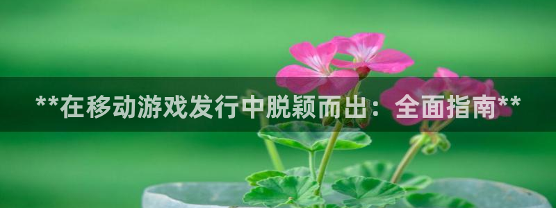 新城平台登录密码忘了怎么找回：**在移动游戏发行中脱颖而出：全面指南**