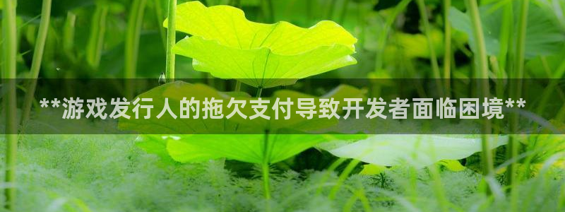 新城平台日7O777：**游戏发行人的拖欠支付导致开发者面临困境**