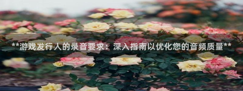 新城平台足7O777：**游戏发行人的录音要求：深入指南以优化您的音频质量**