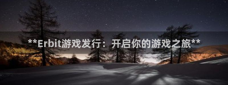 新城平台注册流程及费用：**Erbit游戏发行：开启你的游戏之旅**