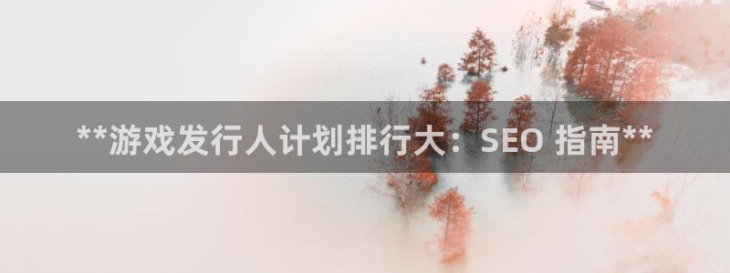 新城平台负责人是谁