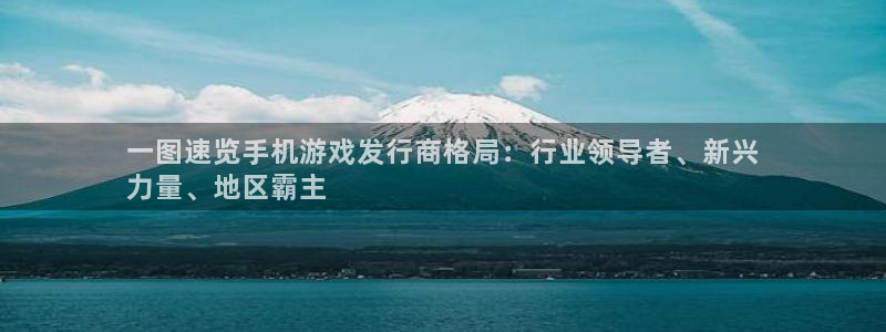 新城平台注册公司流程视频：一图速览手机游戏发行商格局：行业领导者、新兴
力量、地区霸主