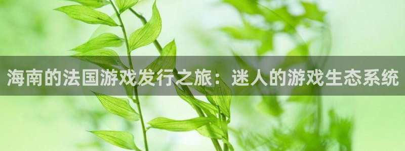 新城平台注册：海南的法国游戏发行之旅：迷人的游戏生态系统