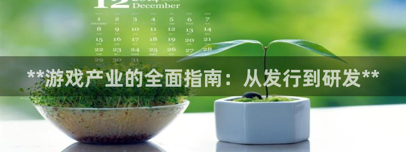 新城平台注册流程图：**游戏产业的全面指南：从发行到研发**