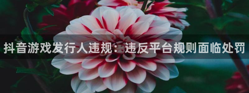 新城平台进·新城平台：抖音游戏发行人违规：违反平台规则面临处罚