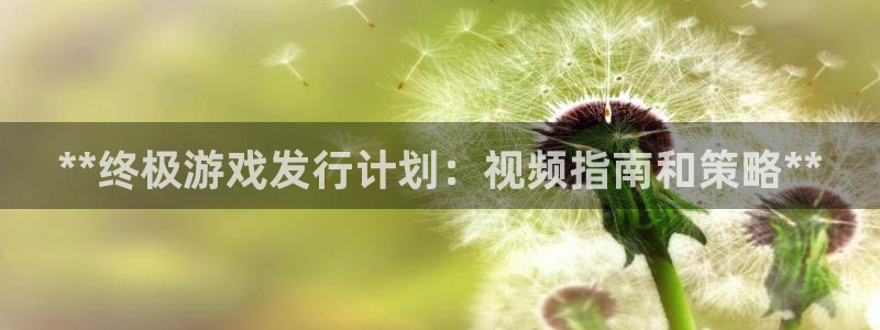 新城平台注册流程图：**终极游戏发行计划：视频指南和策略**
