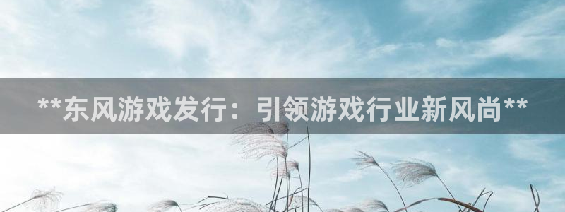 新城平台：**东风游戏发行：引领游戏行业新风尚**