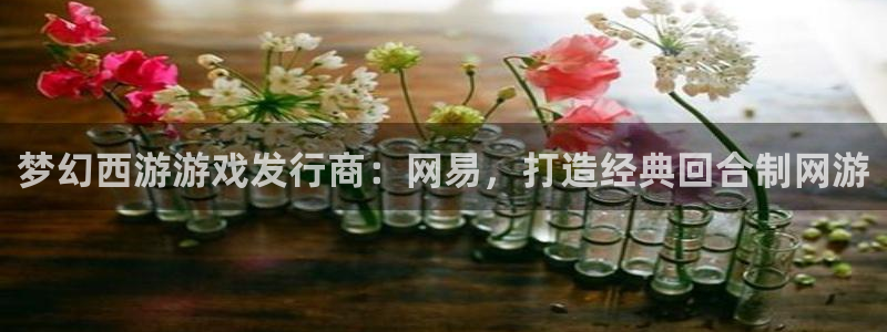 新城平台登录入口官网下载：梦幻西游游戏发行商：网易，打造经典回合制网游