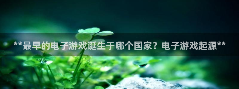 新城平台登录入口官网下载：**最早的电子游戏诞生于哪个国家？电子游戏起源**