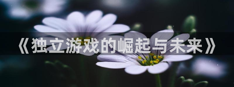 新城平台负责人是谁