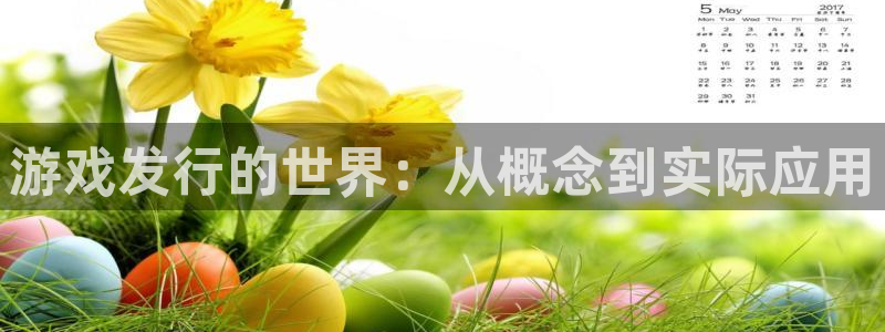 新城平台登录入口官网下载安装