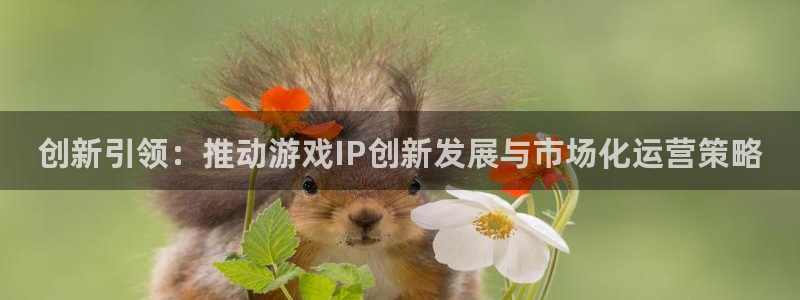 新城平台平台最新活动消息
