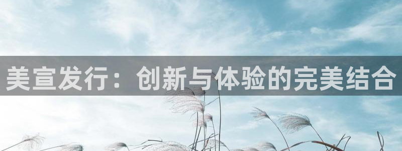新城平台平台最新活动