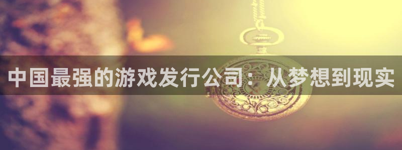 新城平台登录入口