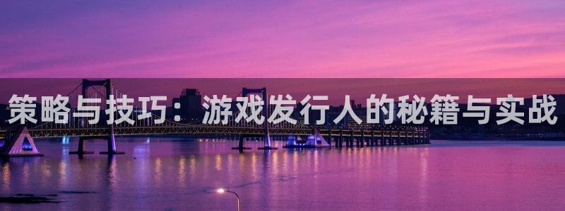 新城平台总代理是谁