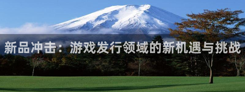 新城平台官网注册账号