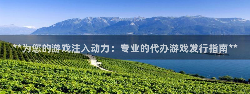 新城平台线路登录不上去了：**为您的游戏注入动力：专业的代办游戏发行指南**