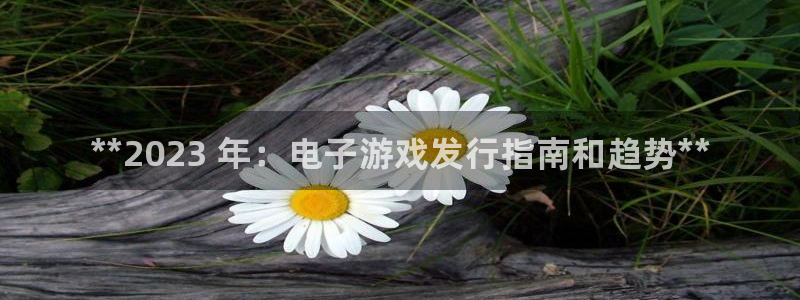 新城平台