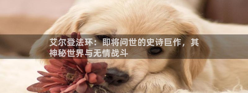 新城平台怎么样