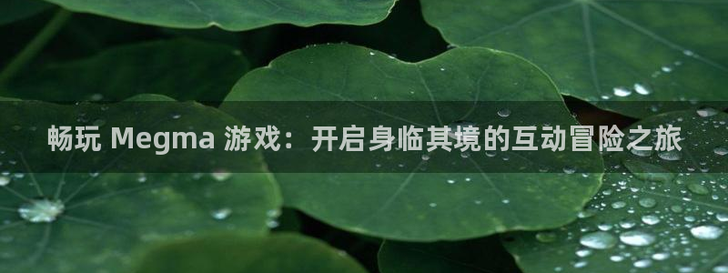 新城平台江7O777