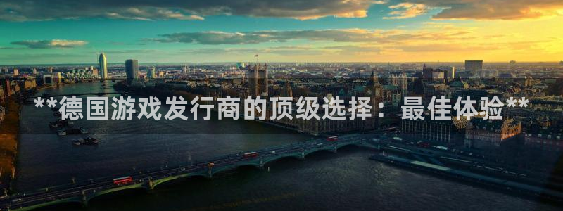 新城平台企业信息查询