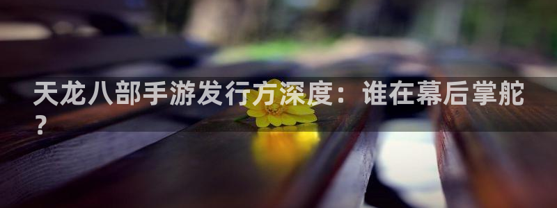 新城平台注册公司流程视频：天龙八部手游发行方深度：谁在幕后掌舵
？