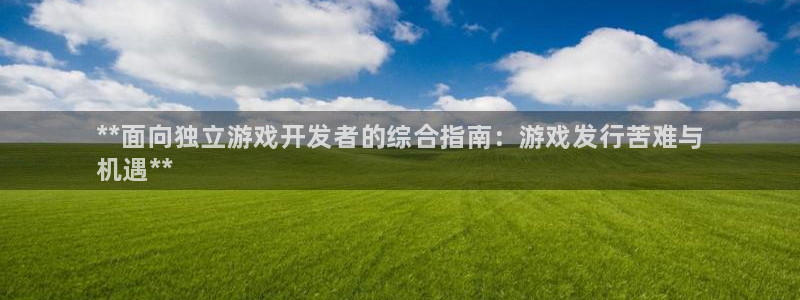 新城平台登录入口官网：**面向独立游戏开发者的综合指南：游戏发行苦难与
机遇**