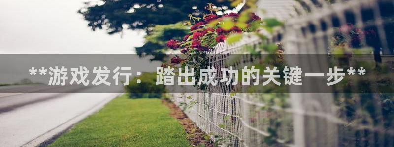 新城平台总代：**游戏发行：踏出成功的关键一步**