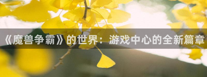 新城平台分分彩