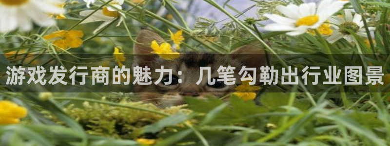 新城平台代理注册条件：游戏发行商的魅力：几笔勾勒出行业图景