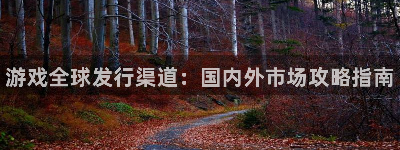 新城平台开户：游戏全球发行渠道：国内外市场攻略指南