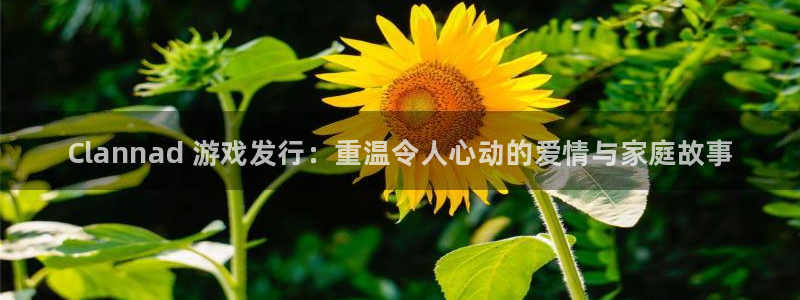 新城平台进·新城平台：Clannad 游戏发行：重温令人心动的爱情与家庭故事