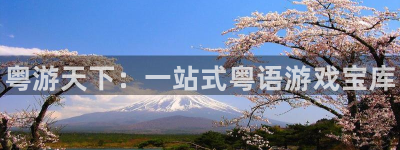 新城平台登录入口官网首页查询：粤游天下：一站式粤语游戏宝库