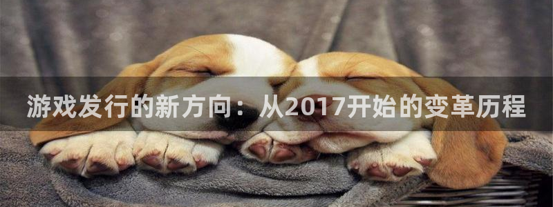 新城平台线路登录不上去怎么回事呀：游戏发行的新方向：从2017开始的变革历程