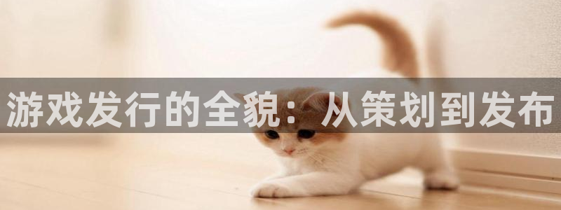 新城平台足7O777：游戏发行的全貌：从策划到发布