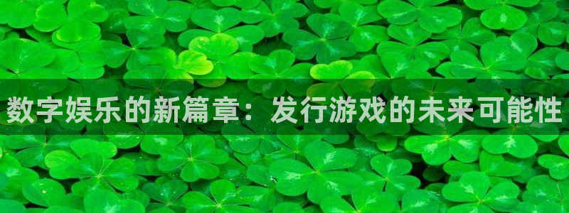 新城平台注册网址查询：数字娱乐的新篇章：发行游戏的未来可能性