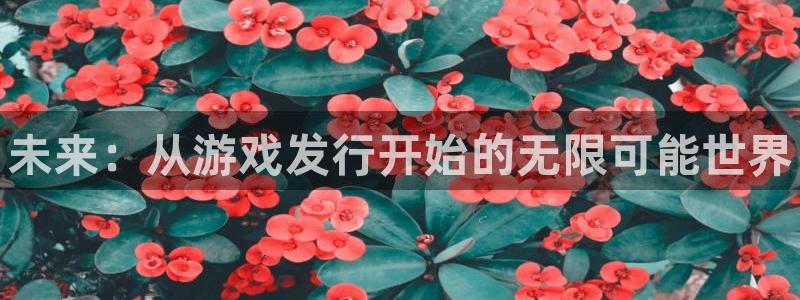 新城平台登录入口官网：未来：从游戏发行开始的无限可能世界