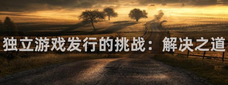 新城平台主管：独立游戏发行的挑战：解决之道