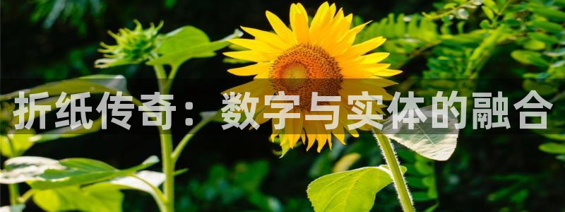 新城平台官网注册入口：折纸传奇：数字与实体的融合