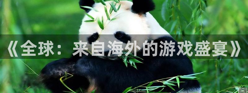 新城平台注册流程